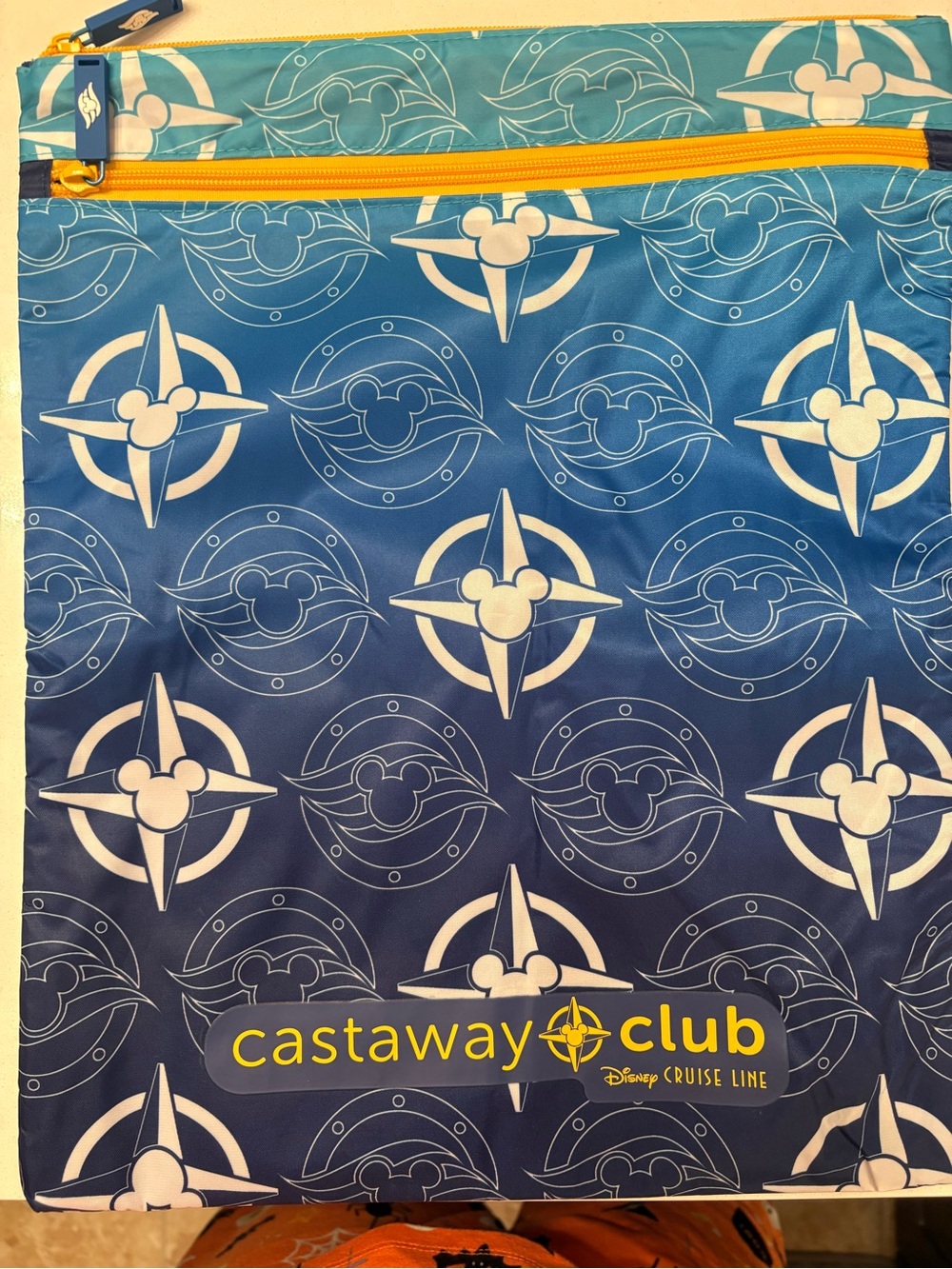 Disney Cruise wet bag